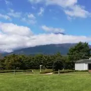 にゃんの画像