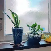 ★はるち☆Favorite Room★の画像