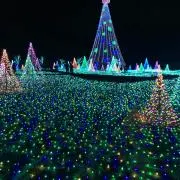 たま(=^ェ^=)ｎの画像