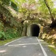 bon.の画像