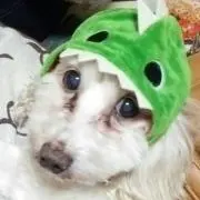 じゃぎ★