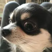 ジュン