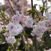 期待