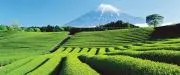 アルク☆プロフ必読☆フォロー割あり！の画像