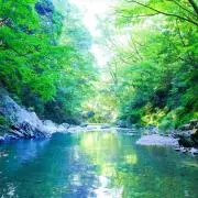 evの画像