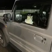 もっちの画像