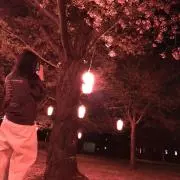 きなこ