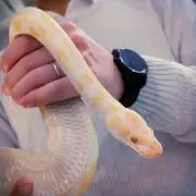まりあの画像
