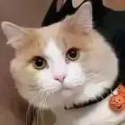 くぅ