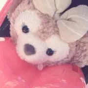 るーくの画像