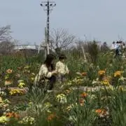 Nanaの画像