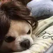 ココナッツ