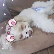 にゃ～お