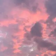 IYU プロフィール必読の画像
