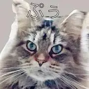 ひるあんどん