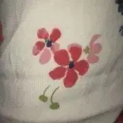 フリージアの画像