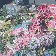 mako⭐︎断捨離中の画像