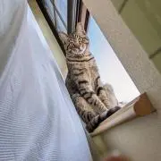 ゆうの画像