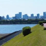 だいすけの画像