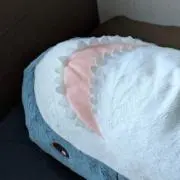 Raiの画像