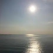 prsの画像