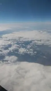 はる 即購入可○の画像