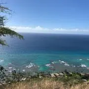 ちゃとらんたの画像