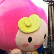afの画像