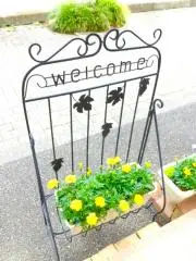 りおなの画像