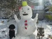 ★ラム★の画像