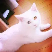 凛