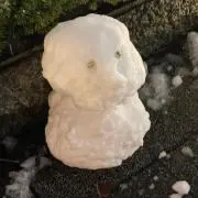 ふうあの画像