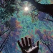 マドゥーシャンの画像