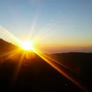 きい