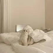 naの画像