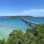 とまとの画像