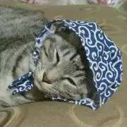 くろすけ