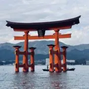 永遠の幸せ&フォロー同梱割引き開催中❣️の画像