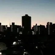 シラウオの画像