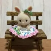 blossomの画像