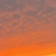 Mの画像