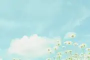 ゴッチの画像