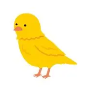 canaryの画像