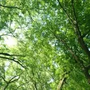 Ponpon　値下げ交渉OK