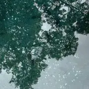 Yomogi＊まとめ売り歓迎＊の画像