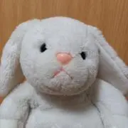 えりこの画像