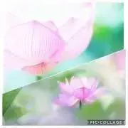aaaaaaiの画像