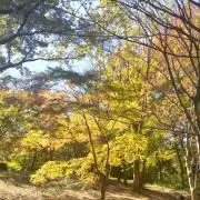 marchの画像