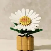 【次回発送】プロフ必読の画像