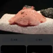めんダコの画像